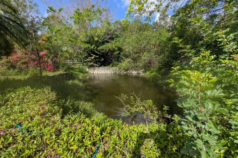 Villa ou maison à vendre à Loxahatchee Groves, Floride: 4 chambres, 371.61 m2 № 2147078 - photo 25