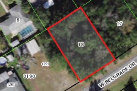 Land in Citrus Springs, Florida № 2223945