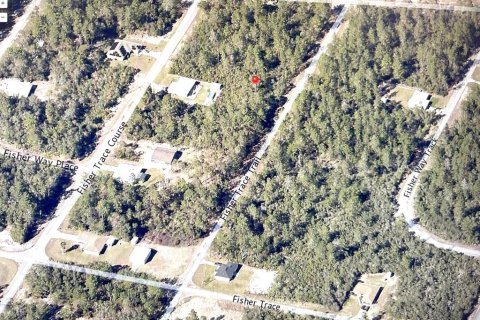 Land in Ocklawaha, Florida № 2235313 - photo 2