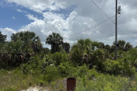 Immobilier commercial à Okeechobee, Floride № 2307977