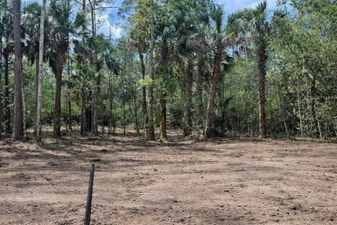 Land in Bunnell, Florida № 2114254