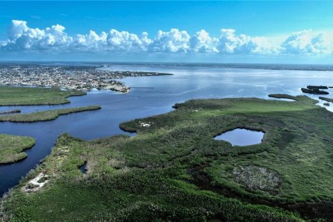 Terreno en venta en Port Charlotte, Florida № 235926 - foto 16