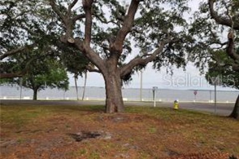 Casa en alquiler en Tampa, Florida, 2 dormitorios, 88.26 m2 № 1878065 - foto 5