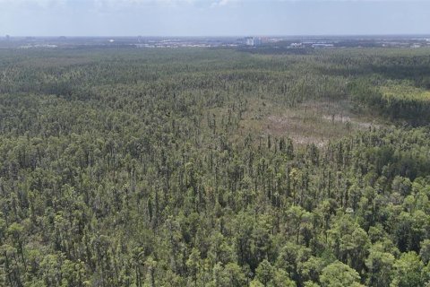 Terreno en venta en Orlando, Florida № 1769078 - foto 14