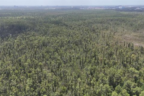Terreno en venta en Orlando, Florida № 1769078 - foto 13
