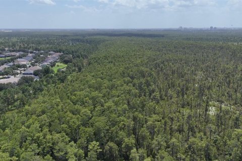 Terreno en venta en Orlando, Florida № 1769078 - foto 9