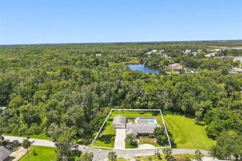 Villa ou maison à vendre à Crystal River, Floride: 3 chambres, 185.8 m2 № 2355015 - photo 2