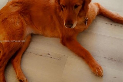 Купить таунхаус в Хайалиа, Флорида 3 спальни, 147.06м2, № 1984071 - фото 19