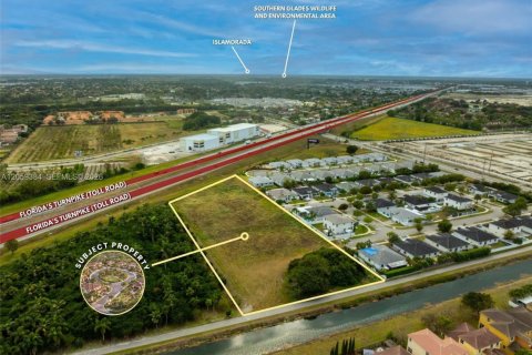 Immobilier commercial à Homestead, Floride № 2390131