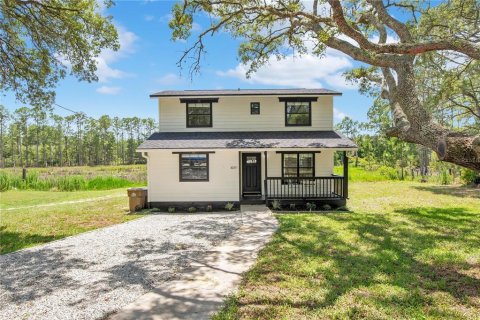 House in Eustis, Florida 3 bedrooms, 133.22 sq.m. № 2099623