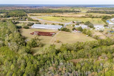 Immobilier commercial à vendre à Starke, Floride: 9267 m2 № 2356644 - photo 5
