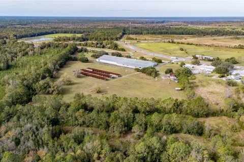 Immobilier commercial à vendre à Starke, Floride: 9267 m2 № 2356644 - photo 4