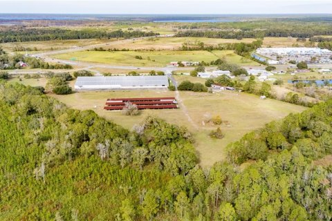 Immobilier commercial à vendre à Starke, Floride: 9267 m2 № 2356644 - photo 7