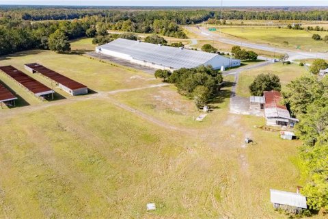 Immobilier commercial à vendre à Starke, Floride: 9267 m2 № 2356644 - photo 8