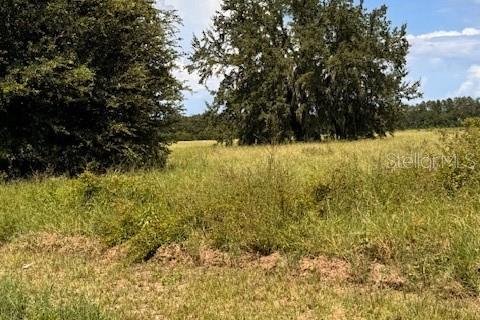 Land in Leesburg, Florida № 1910748 - photo 10