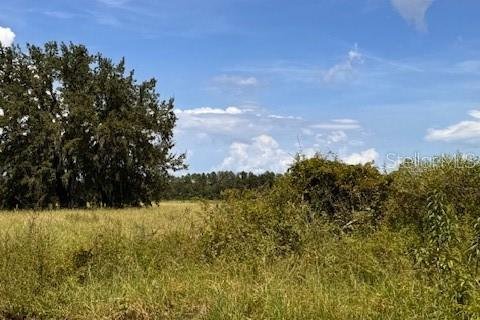 Land in Leesburg, Florida № 1910748 - photo 9