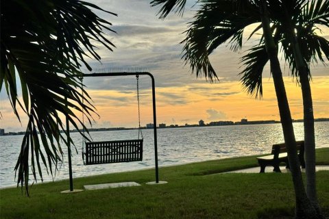 Copropriété à louer à Gulfport, Floride: 2 chambres, 98.48 m2 № 2411652 - photo 5