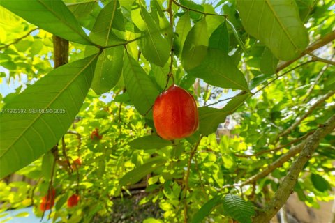 House in Pembroke Pines, Florida 3 bedrooms, 145.67 sq.m. № 1983686 - photo 29