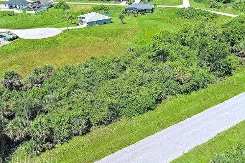 Land in Rotonda, Florida № 2164995 - photo 3