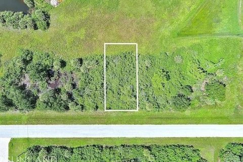 Land in Rotonda, Florida № 2164995 - photo 2