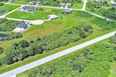 Land in Rotonda, Florida № 2164995 - photo 9