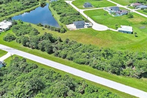 Land in Rotonda, Florida № 2164995 - photo 5