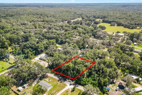 Land in Webster, Florida № 2362486