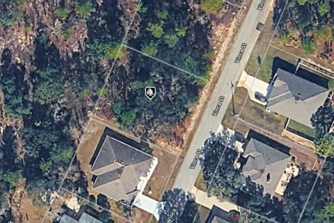 Terrain à Homosassa, Floride № 2389278