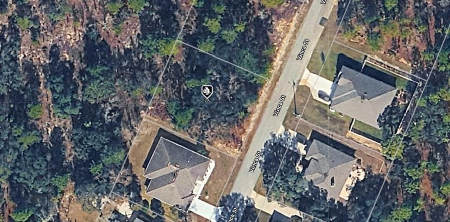 Terrain à Homosassa, Floride № 2389278
