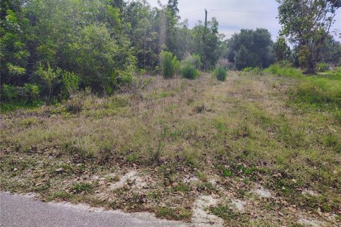 Land in Punta Gorda, Florida № 2162322 - photo 3