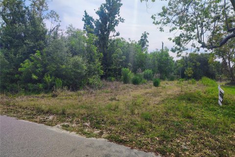 Land in Punta Gorda, Florida № 2162322 - photo 2