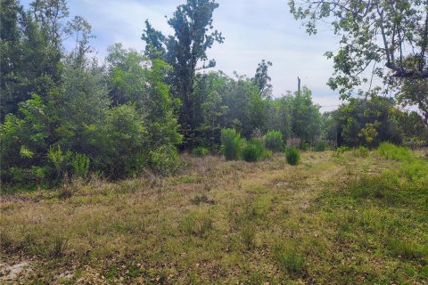 Land in Punta Gorda, Florida № 2162322