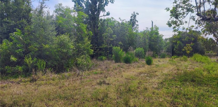 Land in Punta Gorda, Florida № 2162322