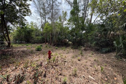 Land in Coral Springs, Florida № 2037797 - photo 4