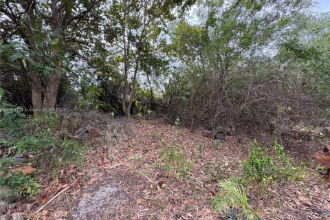 Land in Coral Springs, Florida № 2037797 - photo 9