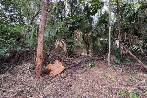 Land in Coral Springs, Florida № 2037797 - photo 6