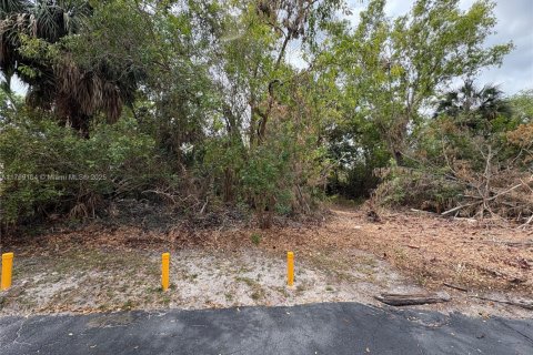 Земельный участок в Корал-Спрингс, Флорида № 2037797