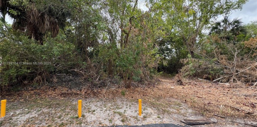 Land in Coral Springs, Florida № 2037797