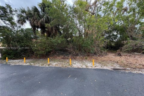 Land in Coral Springs, Florida № 2037797 - photo 7