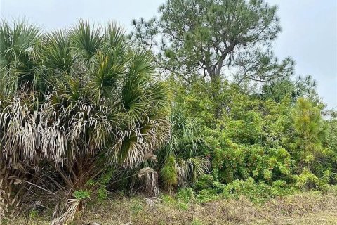 Terrain à vendre à North Port, Floride № 2159557 - photo 4