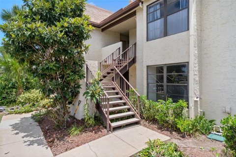 Condo in Palm Harbor, Florida, 2 bedrooms № 2234601