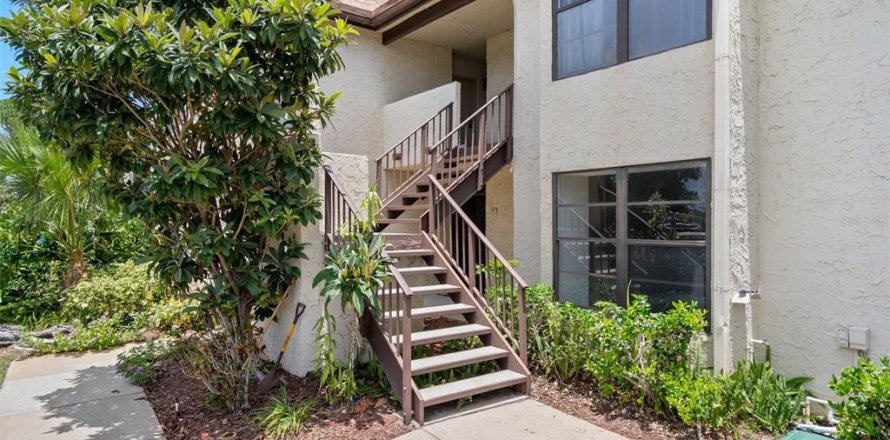 Condo in Palm Harbor, Florida, 2 bedrooms  № 2234601