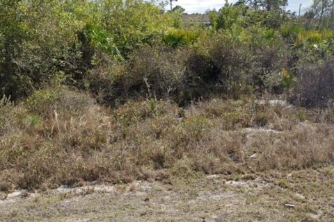 Terreno en venta en Lehigh Acres, Florida № 2212924 - foto 2
