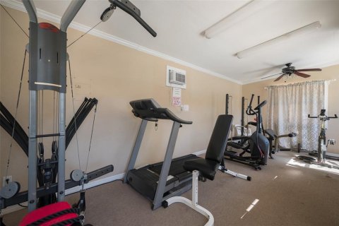 Copropriété à louer à Sarasota, Floride: 1 chambre, 69.77 m2 № 2108999 - photo 23