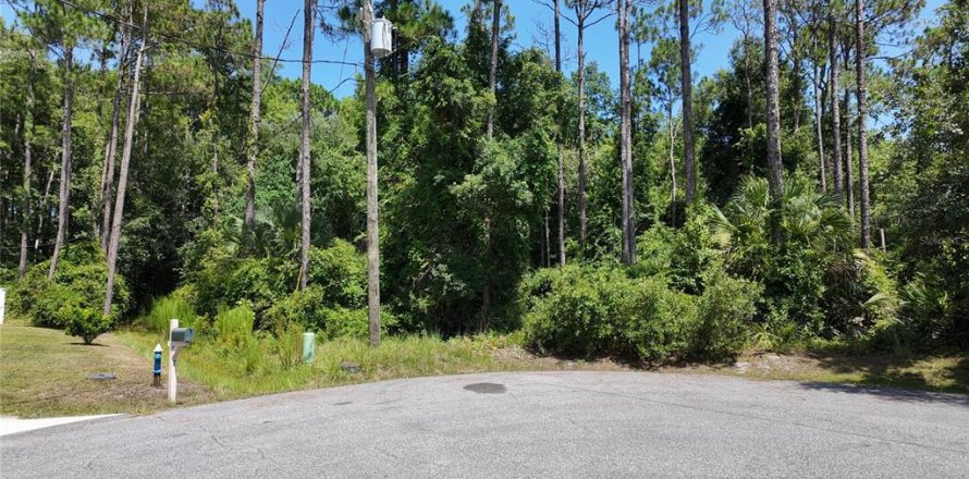Terrain à Palm Coast, Floride № 2216705