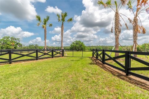 Land in Reddick, Florida № 2093792 - photo 4
