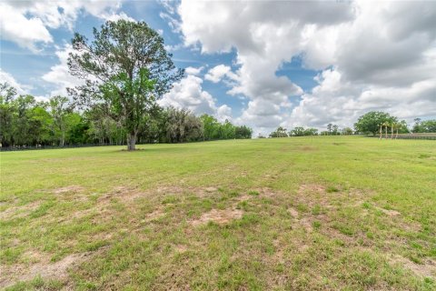 Land in Reddick, Florida № 2093792 - photo 13