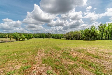 Land in Reddick, Florida № 2093792 - photo 16