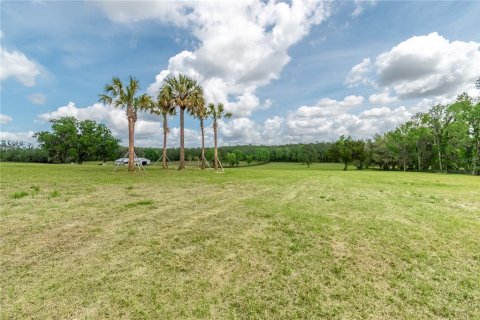 Land in Reddick, Florida № 2093792 - photo 7