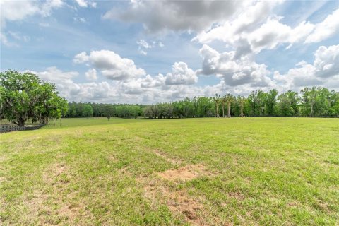 Land in Reddick, Florida № 2093792 - photo 9